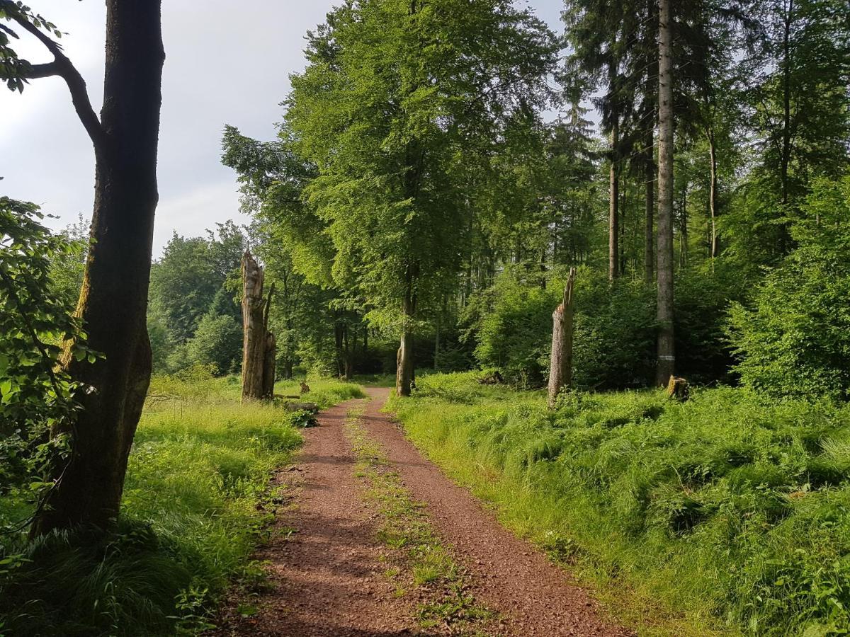 Ferienwohnungen.Ruhla Exteriör bild