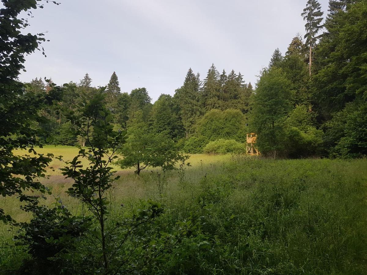 Ferienwohnungen.Ruhla Exteriör bild
