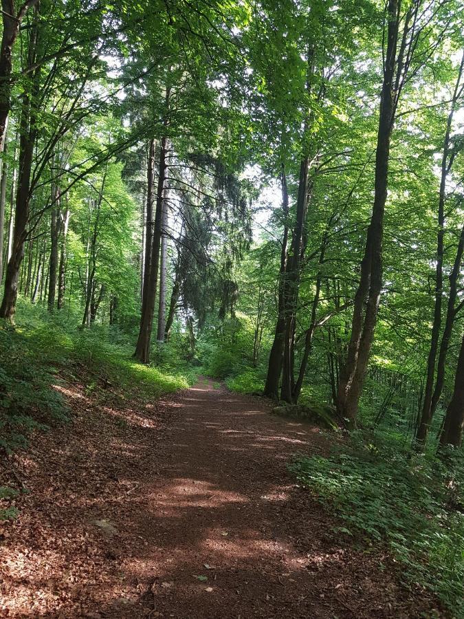 Ferienwohnungen.Ruhla Exteriör bild