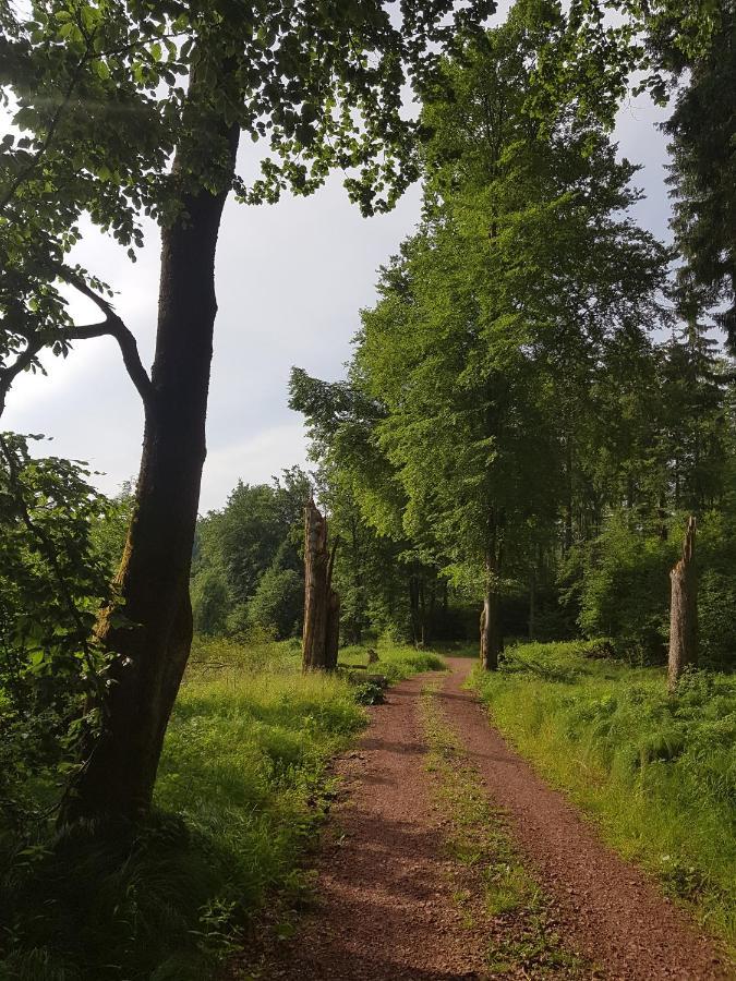 Ferienwohnungen.Ruhla Exteriör bild