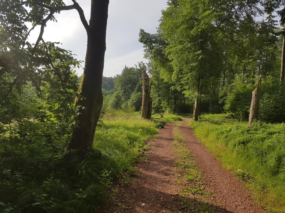 Ferienwohnungen.Ruhla Exteriör bild